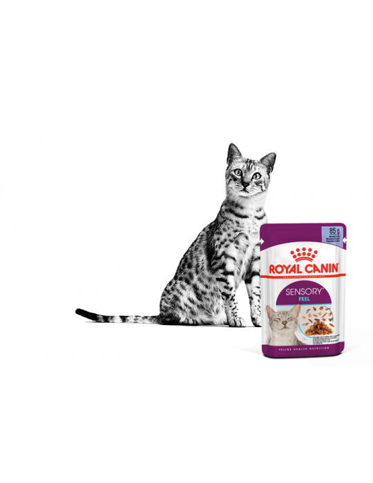 Royal Canin Cat Wet Food Sensory Feel Morsels In Gravy